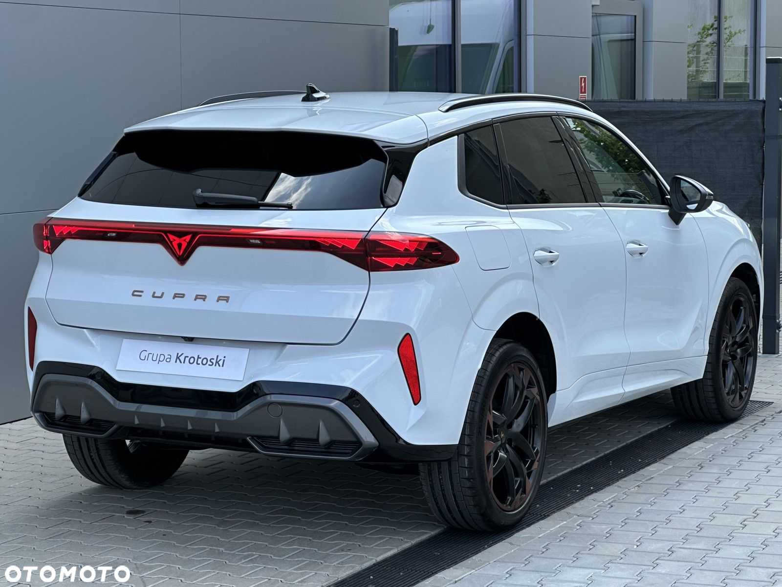 Cupra Terramar - 5