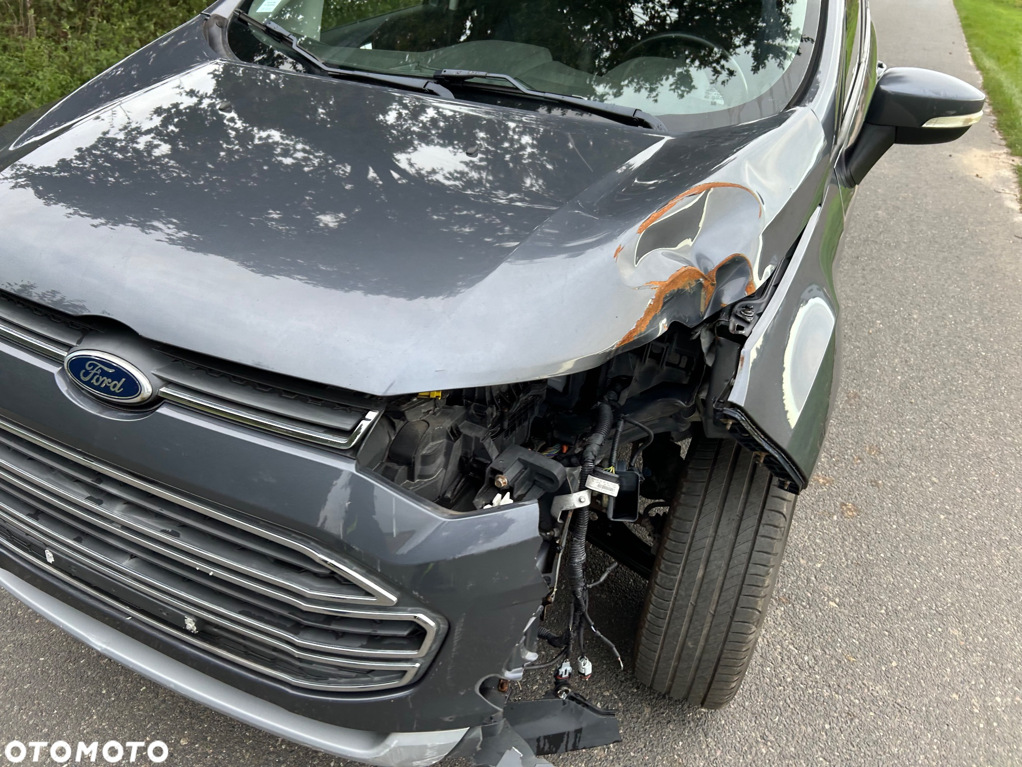 Ford EcoSport - 18