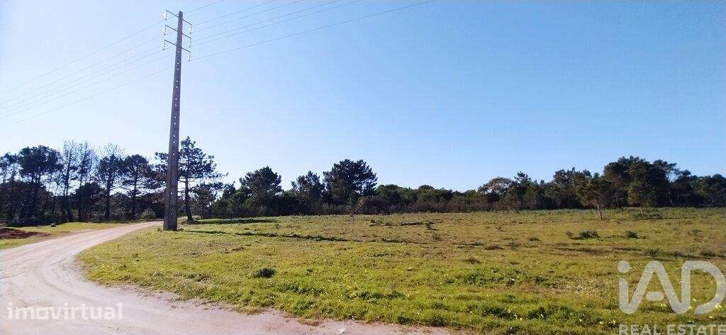 Terreno T1 em Vila do Bispo e Raposeira de 235534,00 m2 - Grande imagem: 2/25