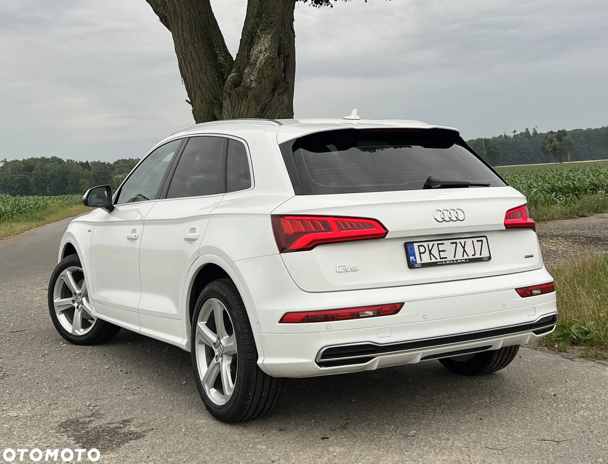 Audi Q5 2.0 TDI Quattro S tronic - 4