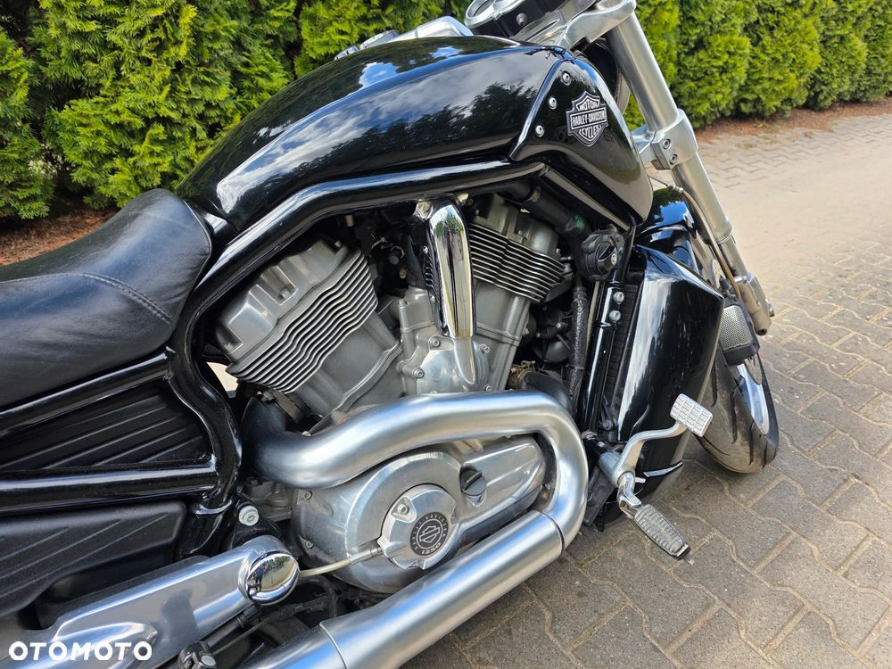 Harley-Davidson V-Rod Muscle - 24
