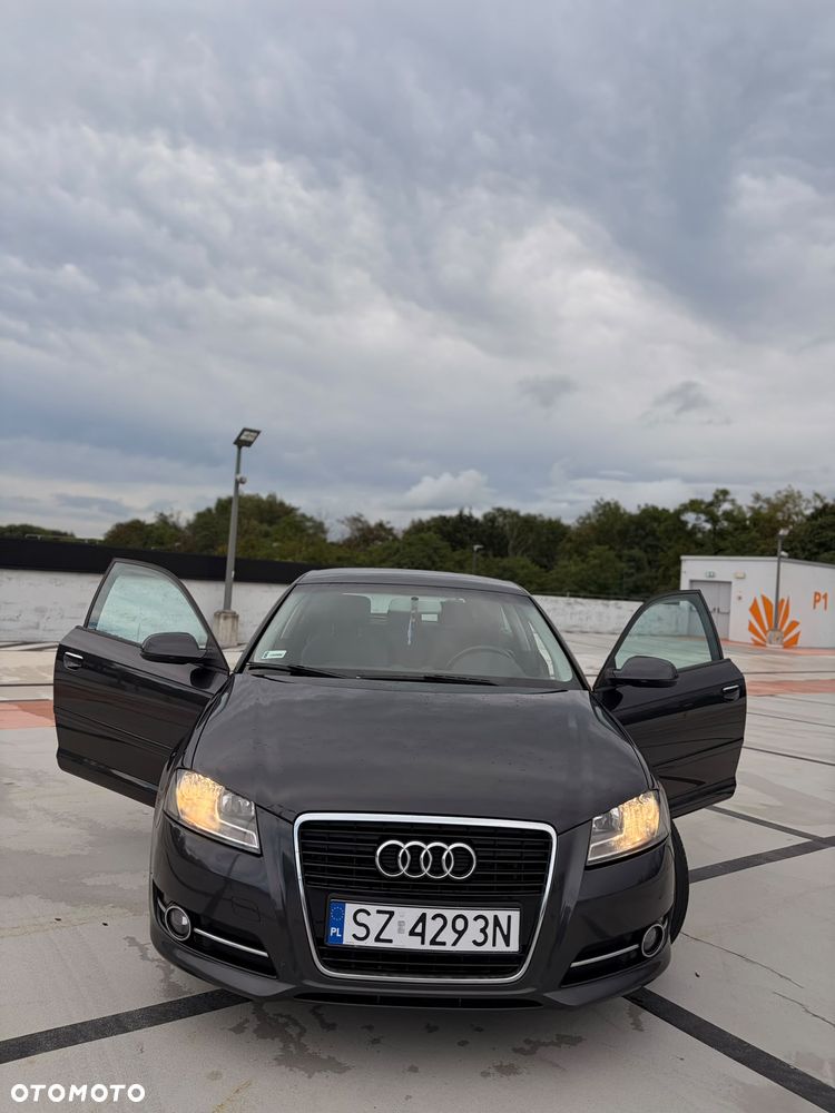 Audi A3 3-drzwiowe 1.6 TDI DPF Ambiente - 12