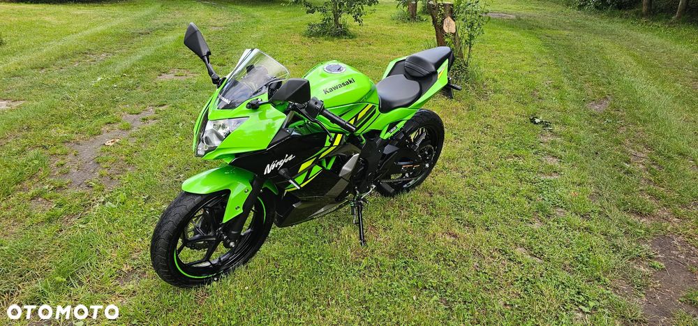 Kawasaki Ninja - 2