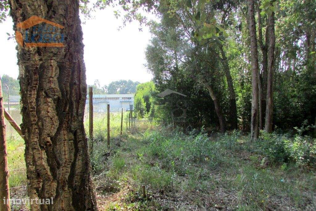 Terreno Grijo, para a contrução de Moradia de 4 frentes - Grande imagem: 5/11