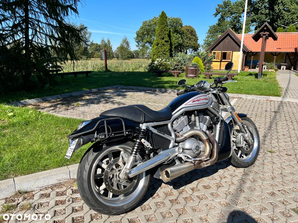 Harley-Davidson V-Rod Street Rod - 4