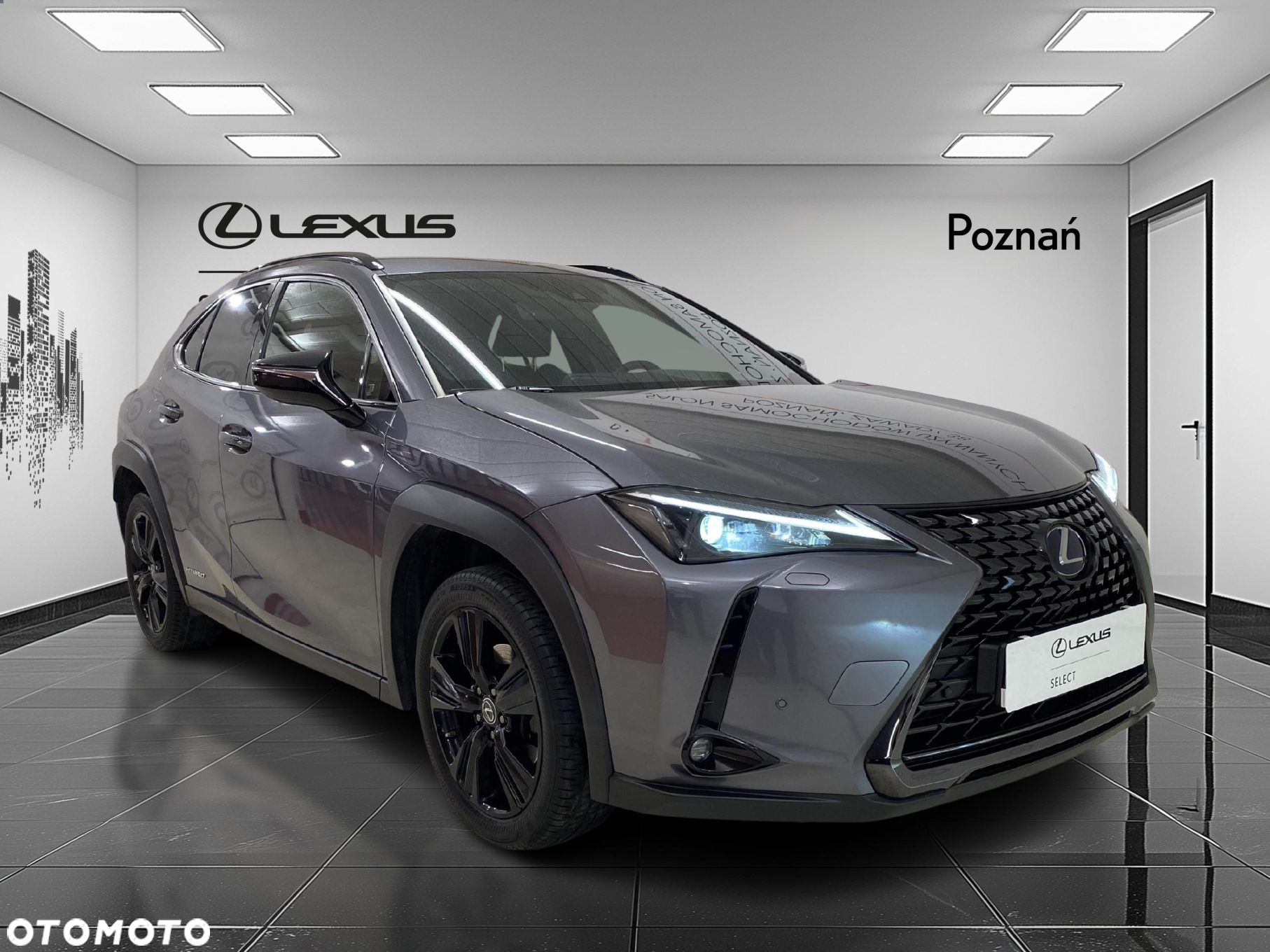 Lexus UX 250h GPF F Impression 2WD - 7