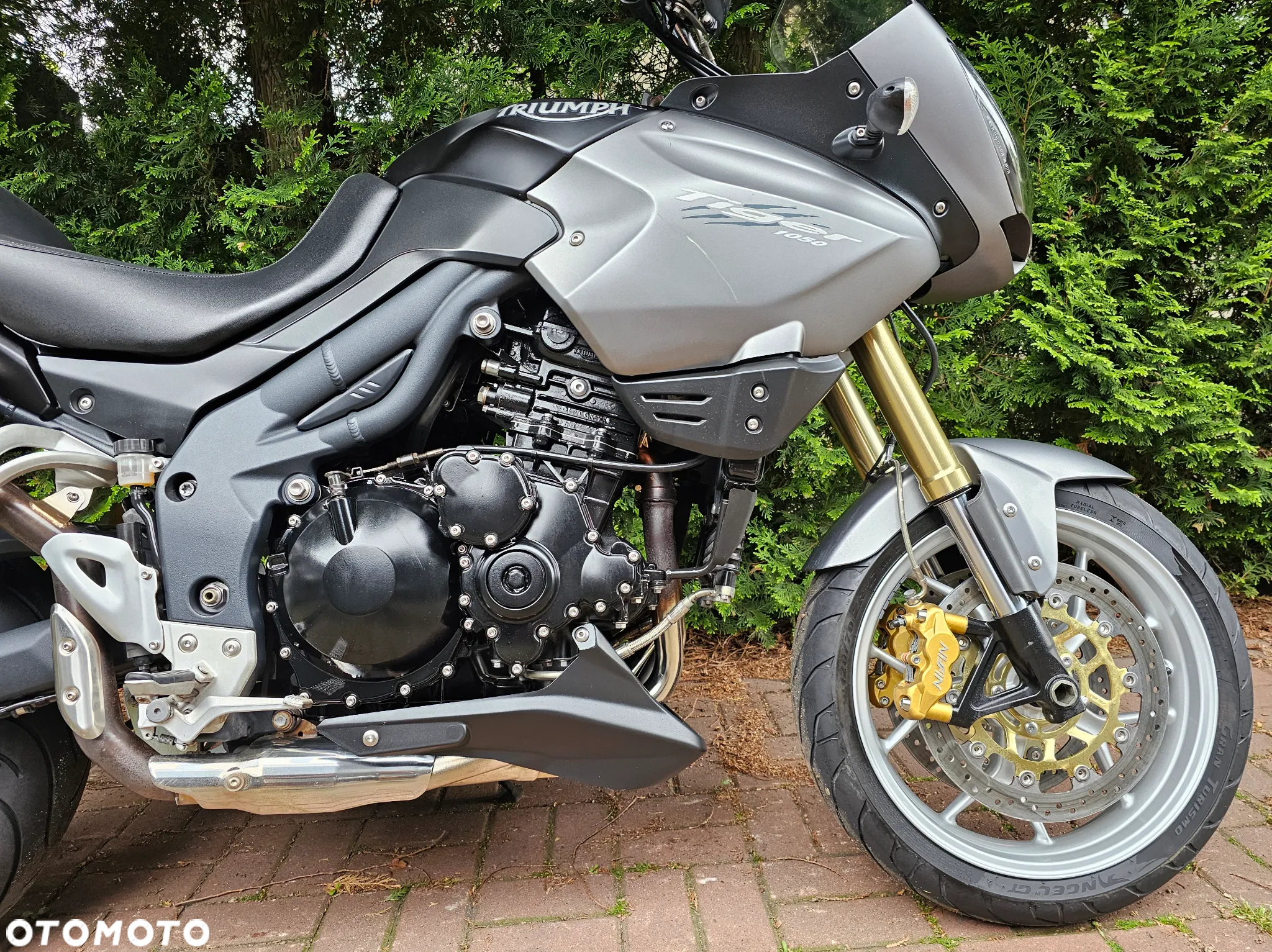Triumph Tiger - 7