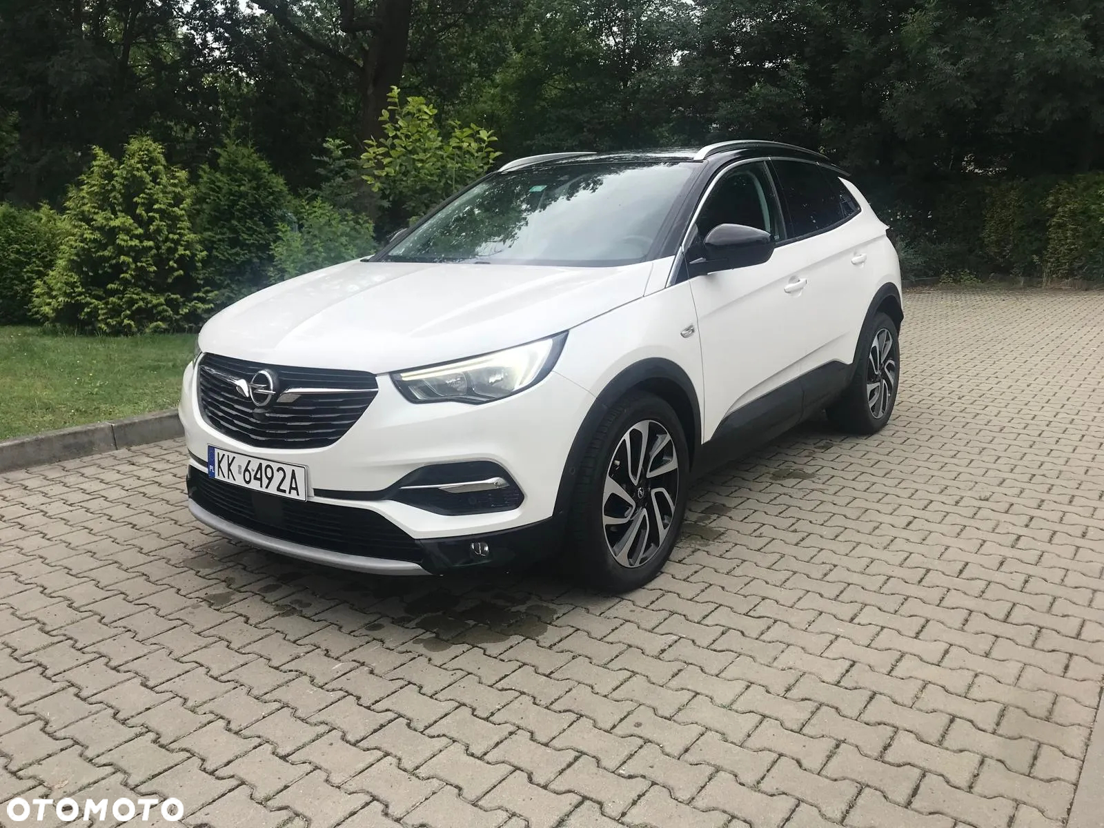 Opel Grandland X 1.6 CDTI Innovation S&S - 3