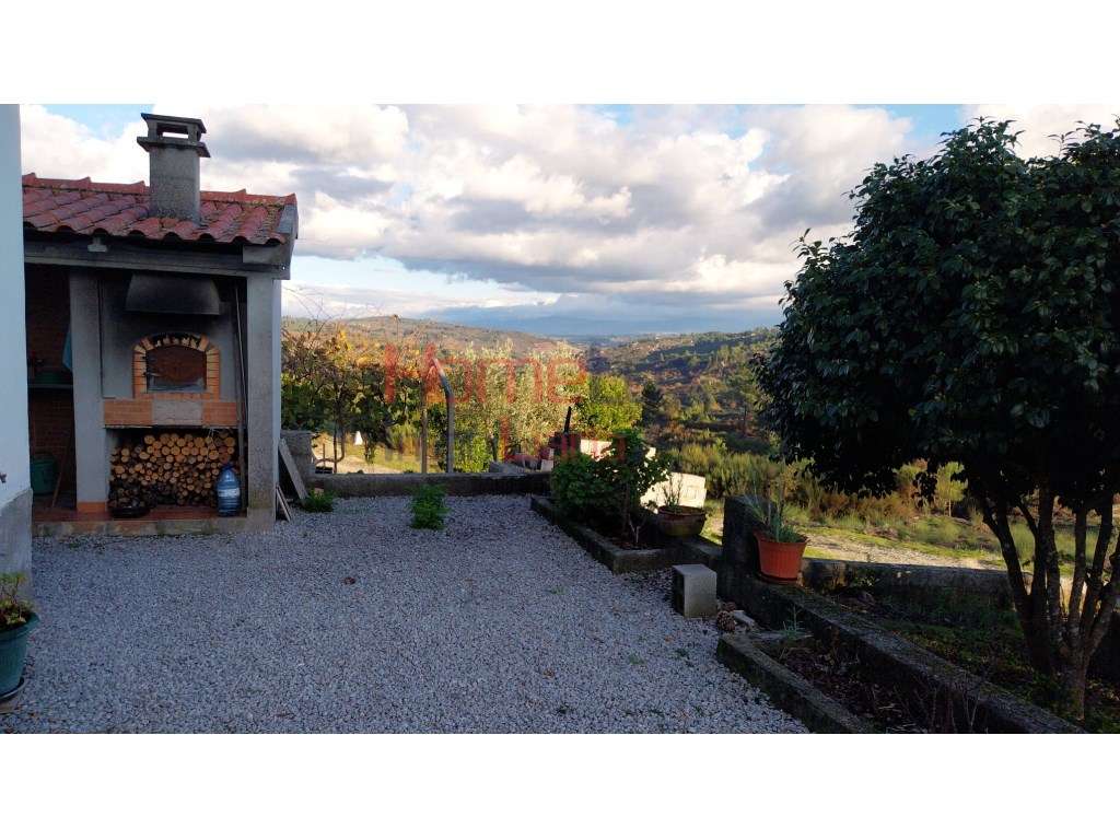 Quinta para venda em Tábua, Coimbra - Grande imagem: 4/45