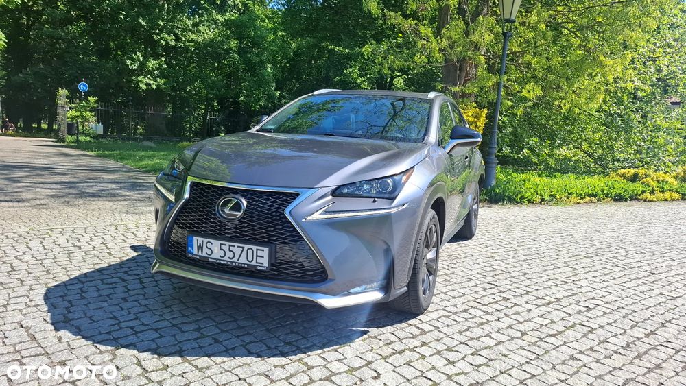 Lexus NX 200t F Sport AWD - 10