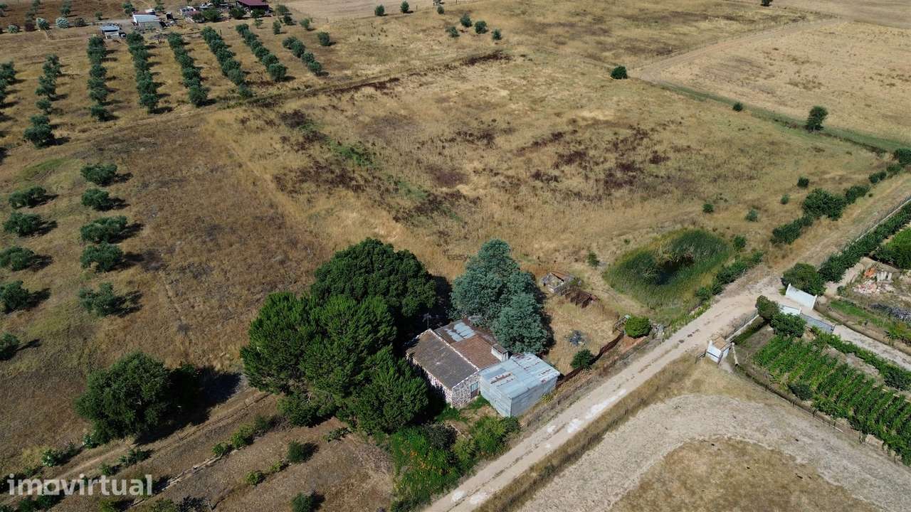 Propriedade rústica com 2,25 hectares integrada no regadio do Alqueva, - Grande imagem: 4/33