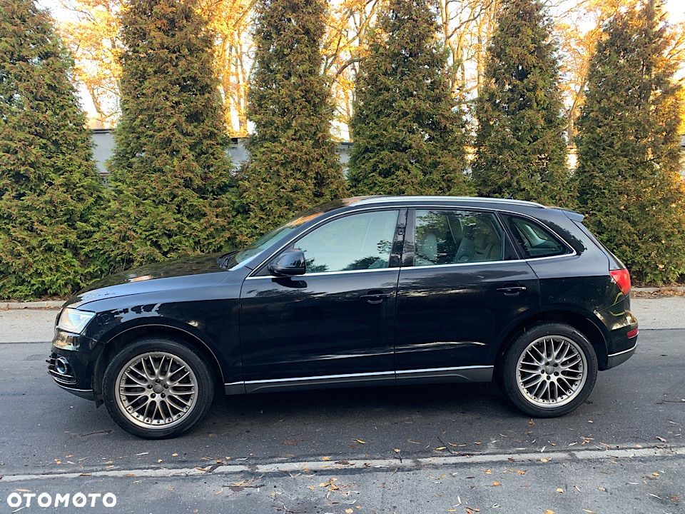Audi Q5 - 17
