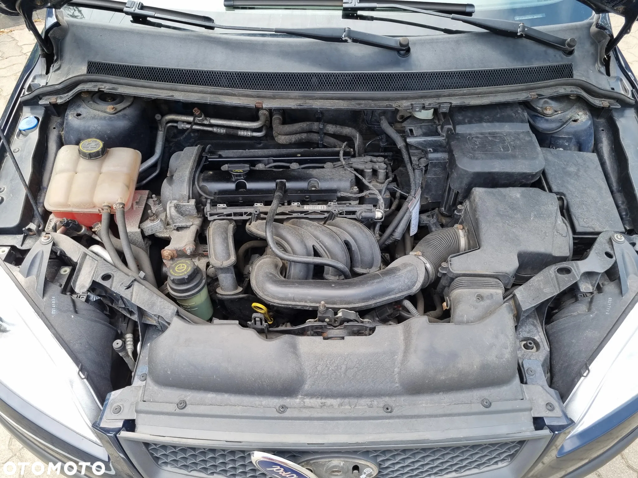 Ford Focus 1.4 Trend - 24
