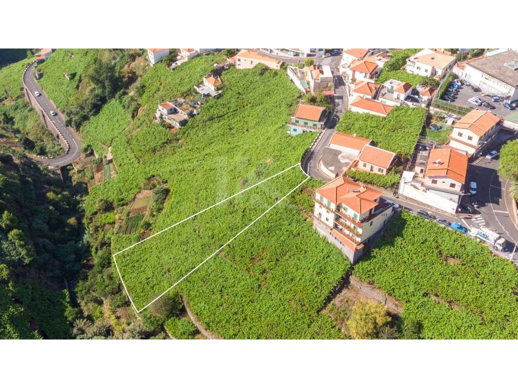 Lote Estreito de Câmara de Lobos - Grande imagem: 2/8