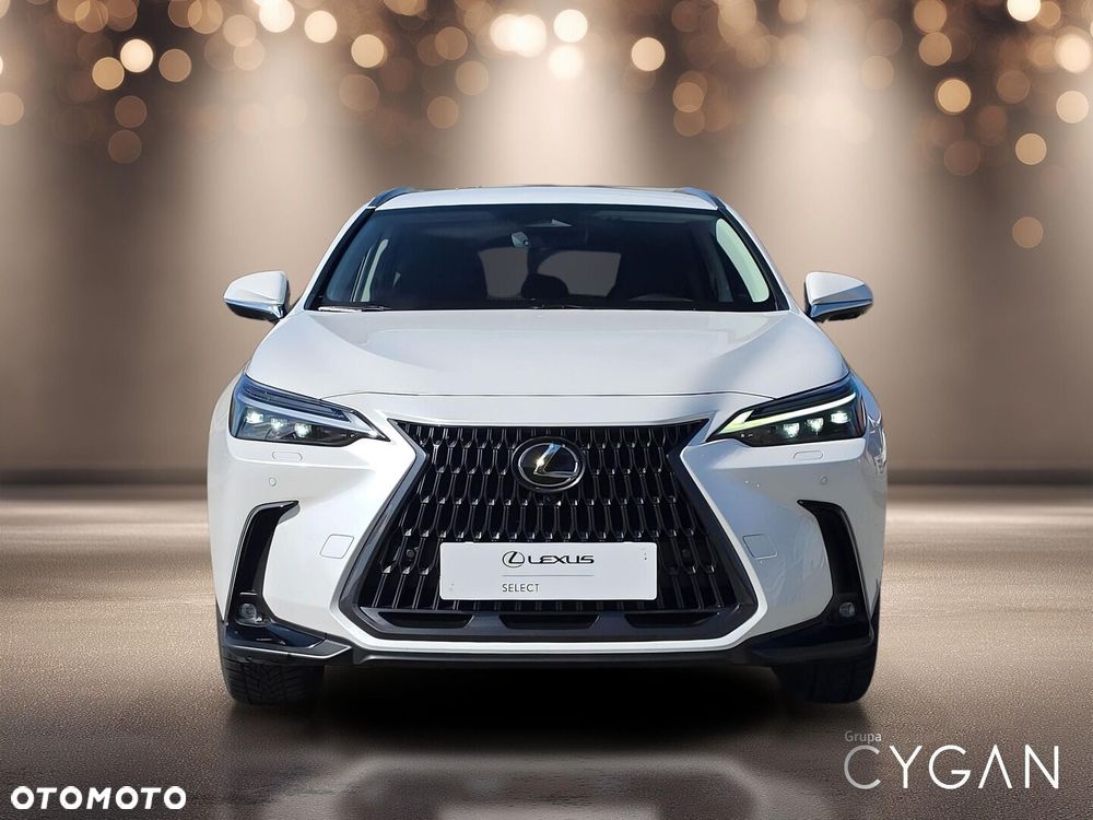 Lexus NX - 10