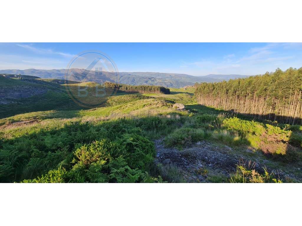 Terreno com projeto de turismo aprovado, em Cabeceiras de Basto - Grande imagem: 3/6