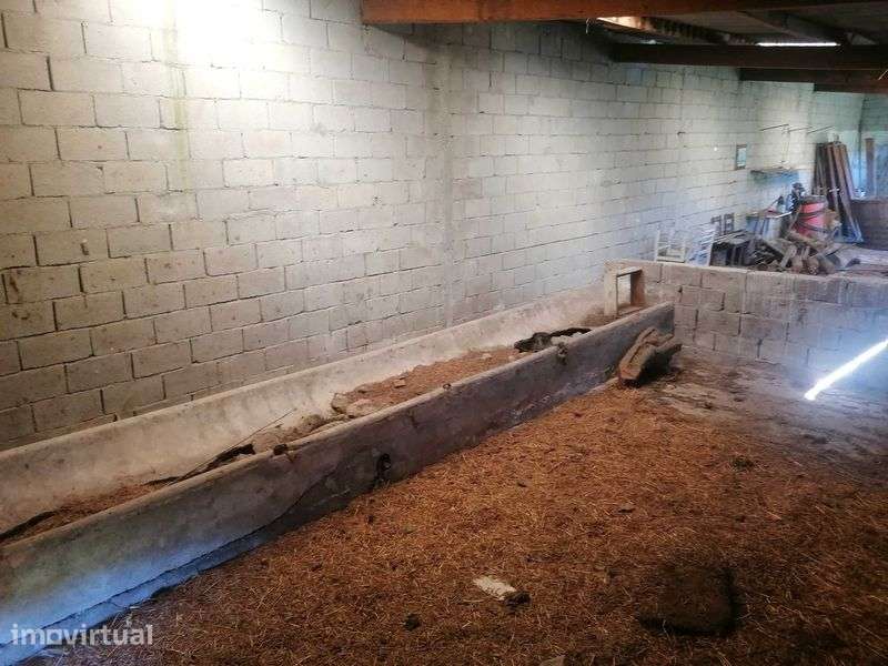Alugo Terreno 6500m2 com anexo 100m2 - Grande imagem: 4/5