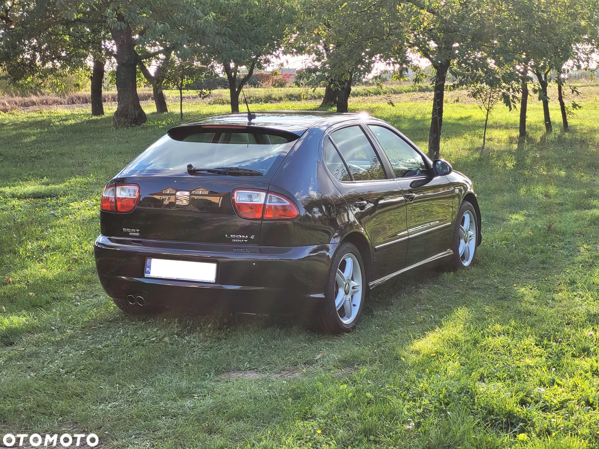 Seat Leon 1.8T Top Sport 4x4 - 12
