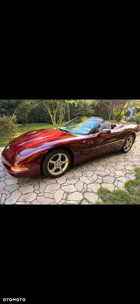 Chevrolet Corvette - 6