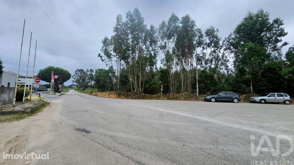 Terreno em Loureiro de 8130,00 m2 - Grande imagem: 2/4