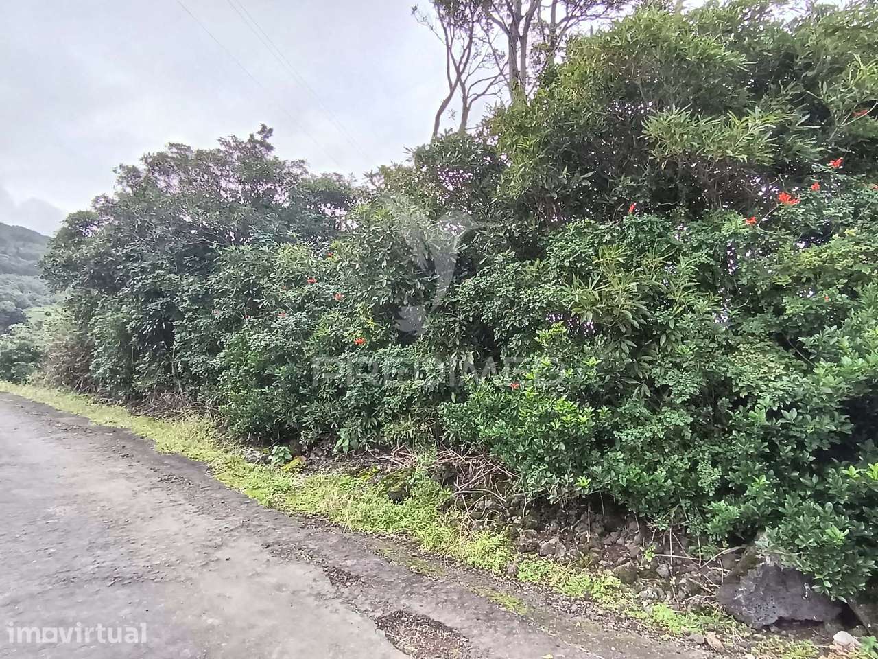 Terreno Agrícola, para venda, na Prainha, São Roque do Pico - Grande imagem: 4/14