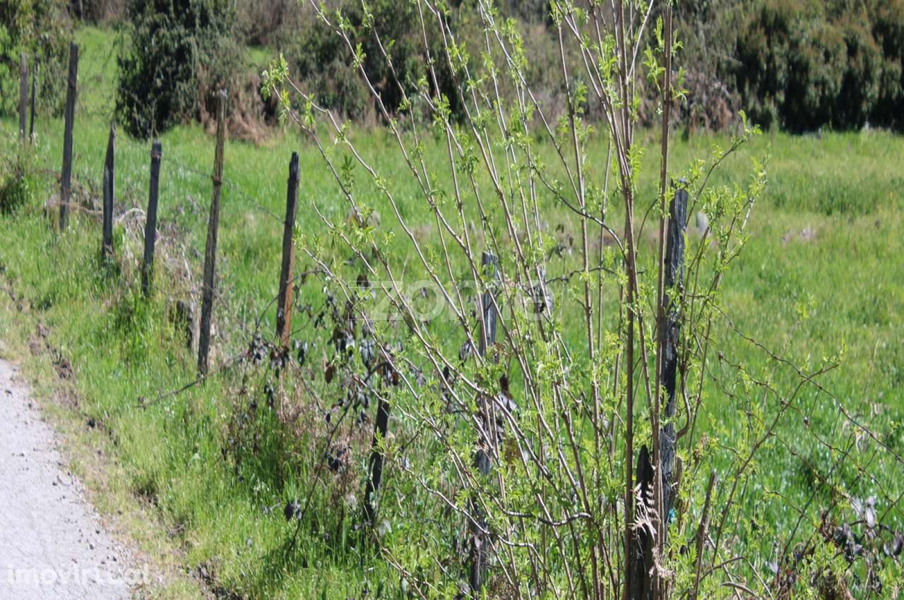 Terreno Único à Venda no Coração do Vale do Demo – Moimenta da Bei... - Grande imagem: 2/20