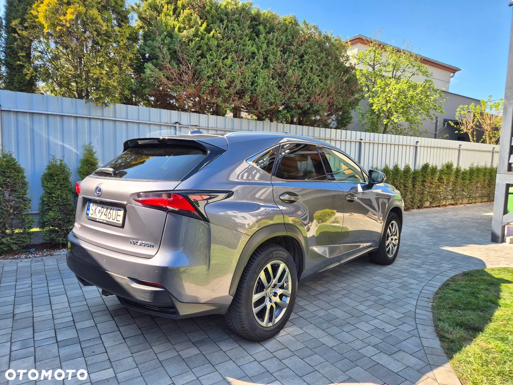 Lexus NX 300h Business Edition AWD - 1