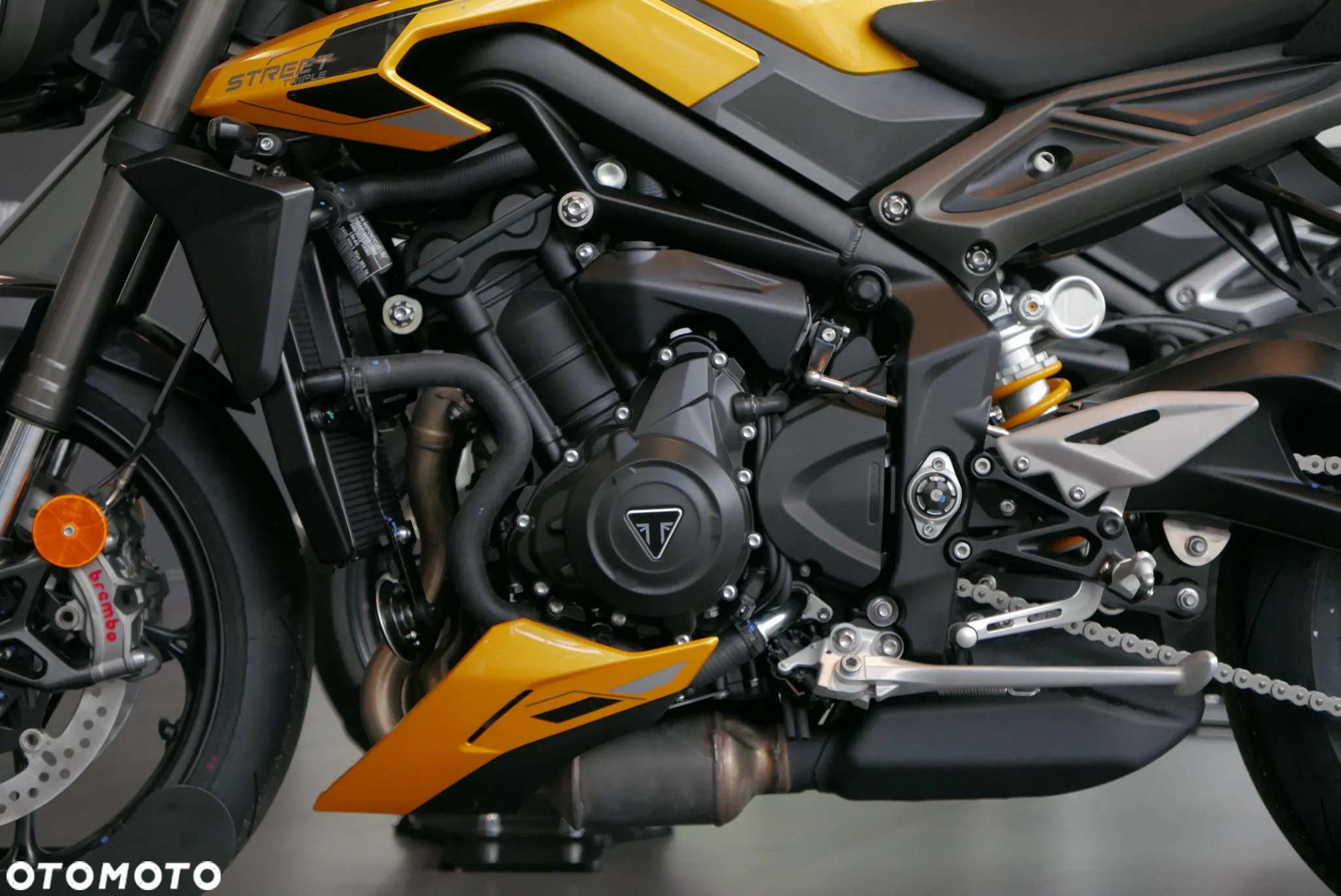 Triumph Street Triple - 19