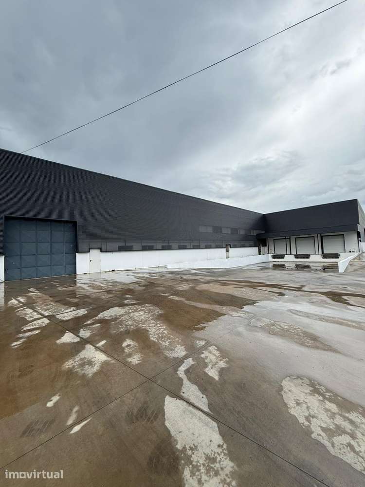 Armazém para arrendar em Oliveira do Bairro - Grande imagem: 3/5