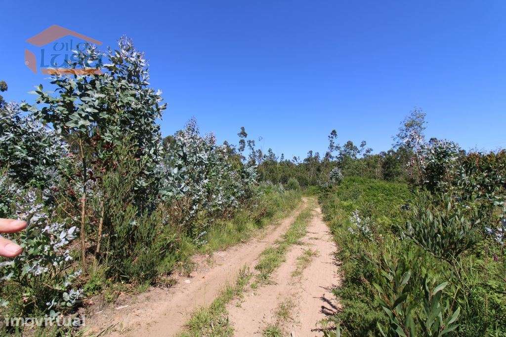 Terreno Industrial com 7400 m2 para a construção de armazém - Grande imagem: 2/10