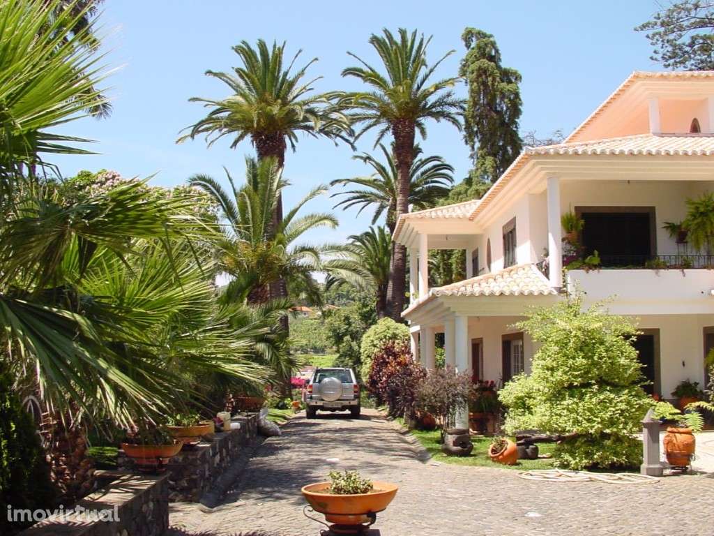 Quinta, Santo António - Grande imagem: 2/9