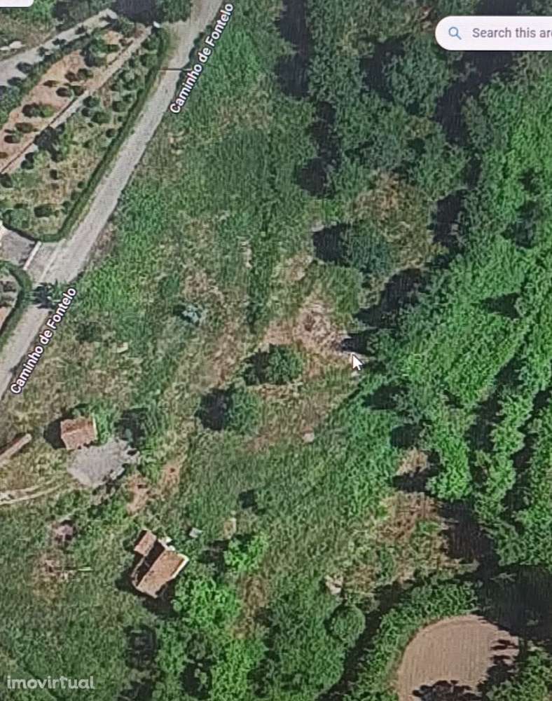 Vende-se Quinta ( EM AMARANTE ) FIGUEIRO - Grande imagem: 2/6