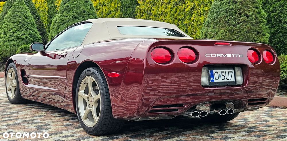 Chevrolet Corvette - 34