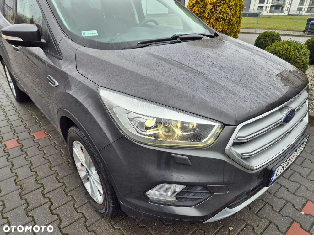 Ford Kuga 1.5 EcoBoost FWD Edition ASS GPF - 19