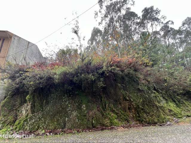 Lote Construção Moradia 3 Frentes Gaia  a 2 Km Hospital Santos Silva - Grande imagem: 4/22