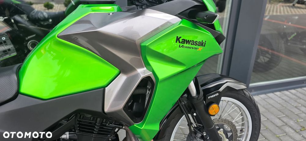 Kawasaki Versys-X 300 - 10