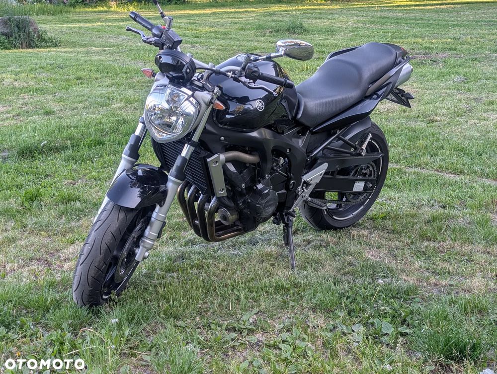 Yamaha FZ6 - 3