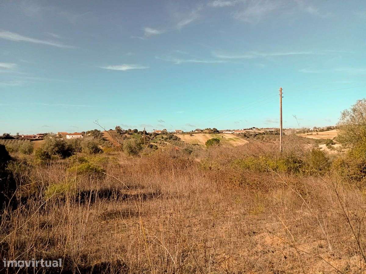 Terreno, Santarém - Grande imagem: 5/8