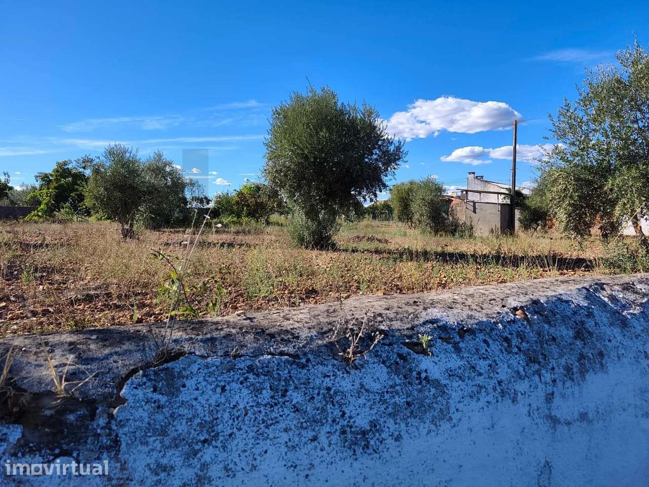 Terreno Rústico com Viabilidade de Construção | Barrada - Abrantes - Grande imagem: 4/21