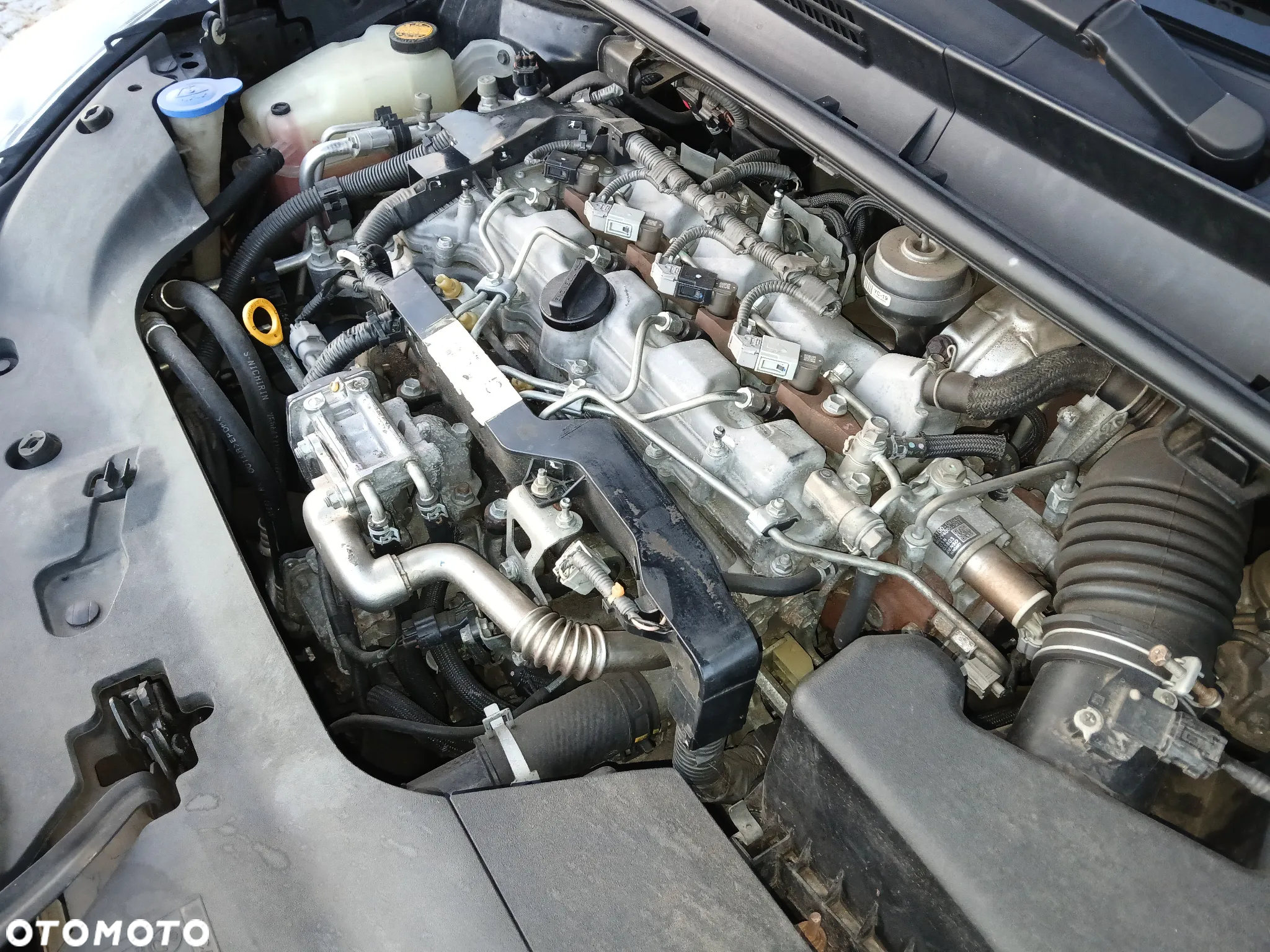 Toyota Verso 2.0 D-4D Sol 7os - 26
