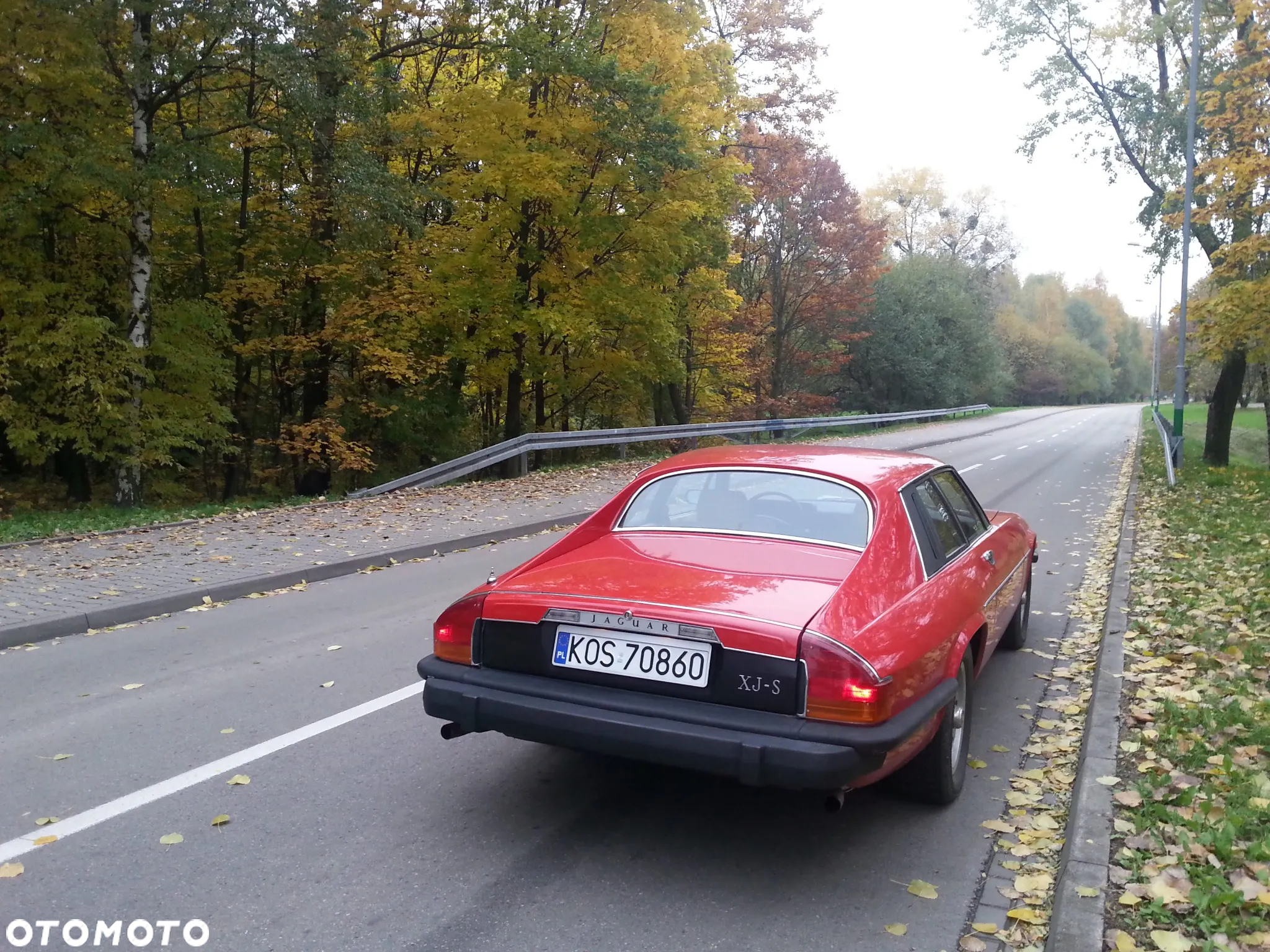 Jaguar XJS - 4