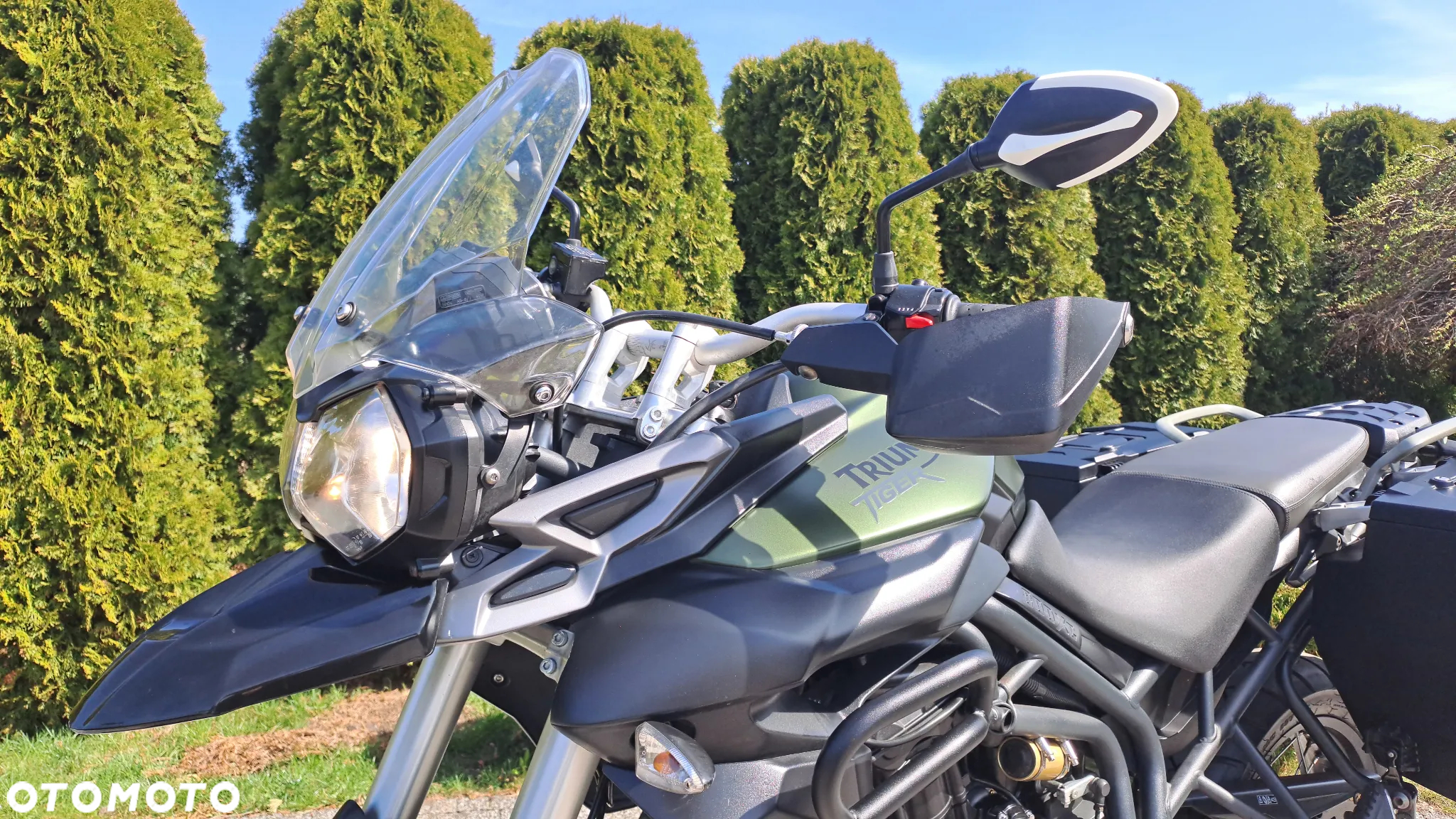 Triumph Tiger - 26