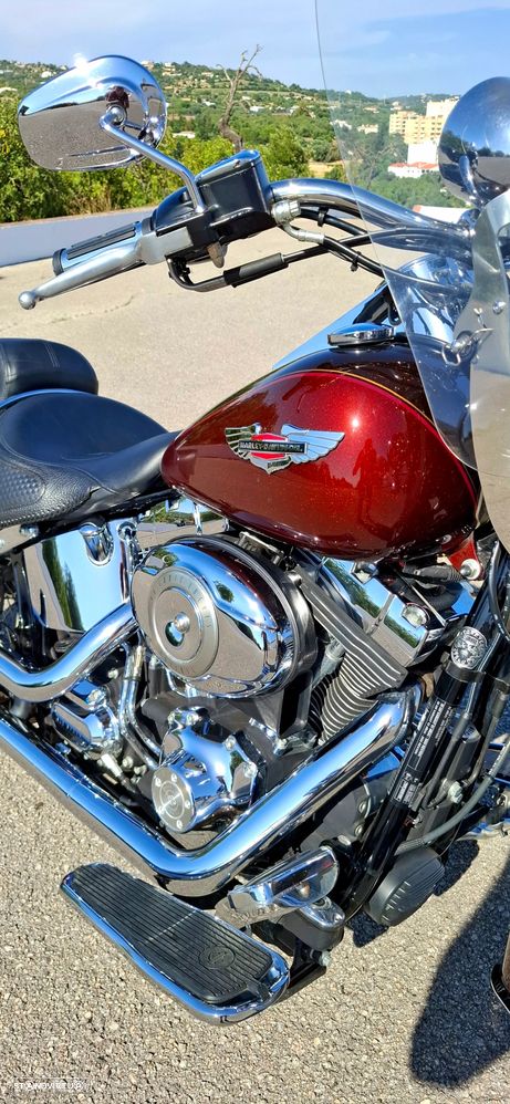 Harley-Davidson FLST Softail Deluxe - 2