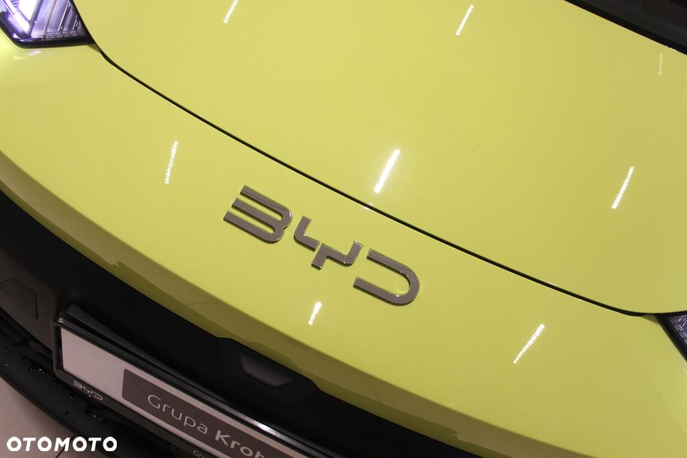 BYD Dolphin Surf - 12