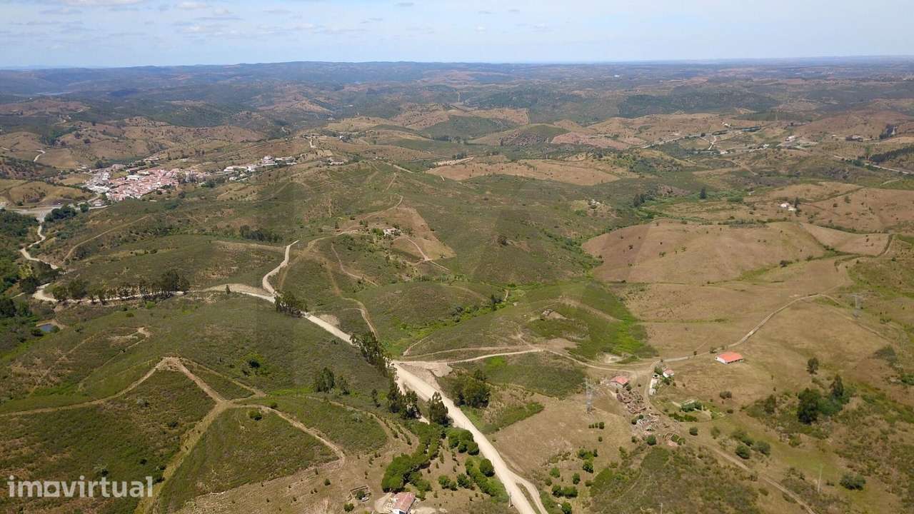 Terreno Rústico com 9,1 Hectares em Santana da Serra - Óptimo para pro - Grande imagem: 5/6