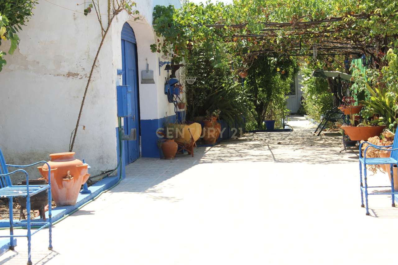 Moradia T4 com terreno de 1.050m2 em Cano (Sousel) - Grande imagem: 5/27