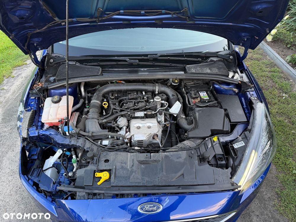 Ford Focus 1.0 EcoBoost Start-Stopp-System Champions Edition - 13