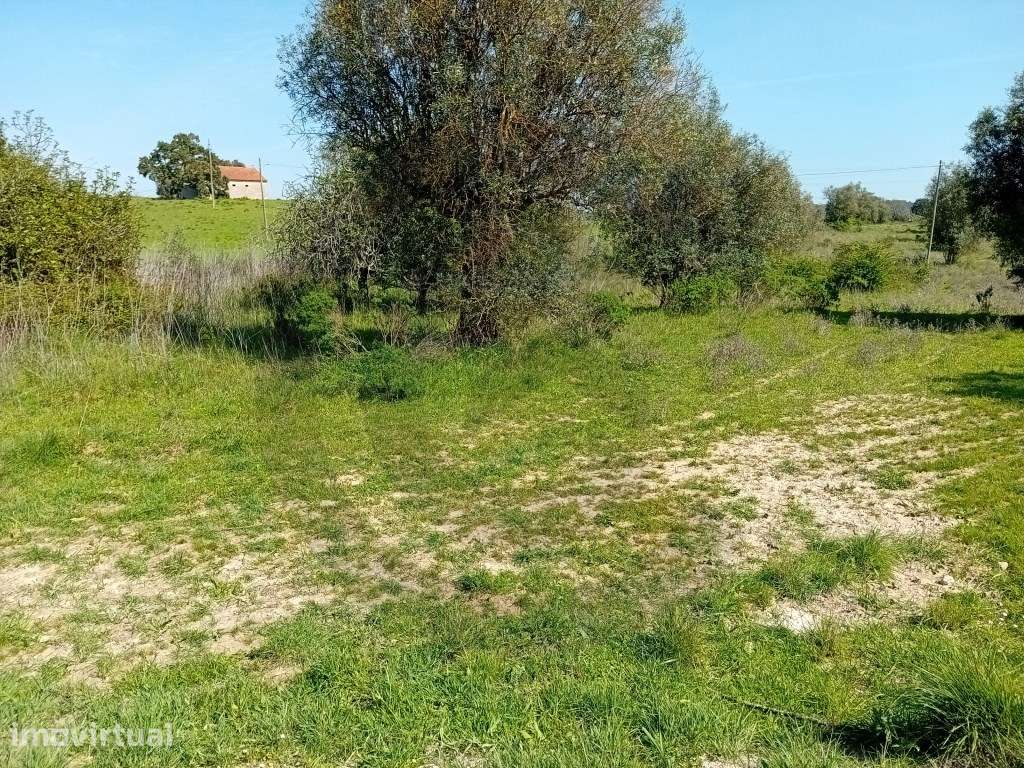 Terreno - Casal bernardino, Casével, Santarém - Grande imagem: 3/5