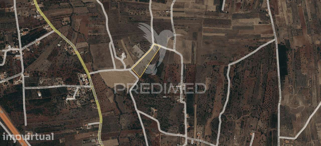 Albufeira-Paderne Montes Elois -Terreno Rustico plano 24360m2 - Grande imagem: 3/12