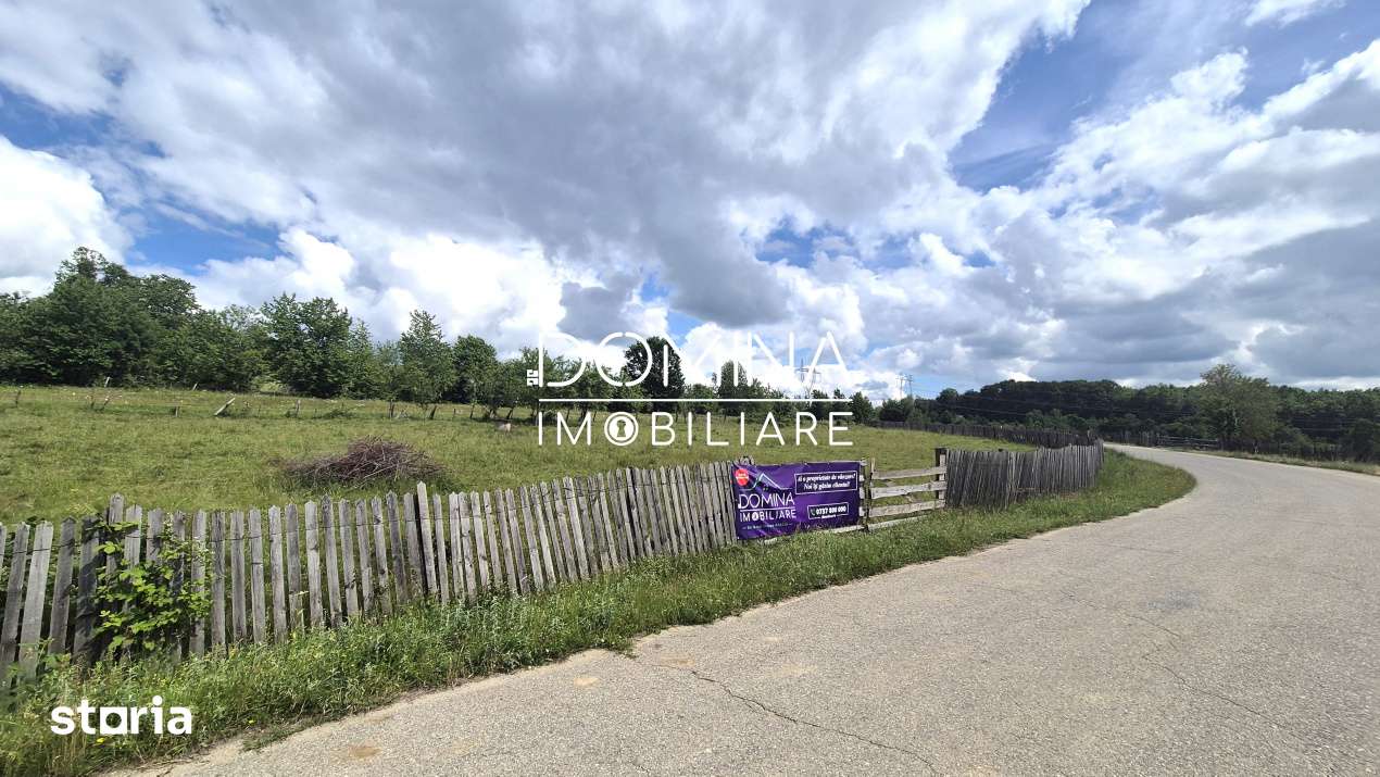Vanzare teren intravilan *3262 mp -  Baia de Fier - potential turistic - Imagine principală: 4/9